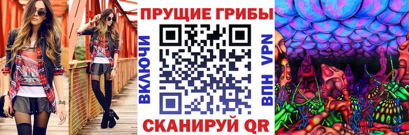 Галлюциногенные грибы Cubensis  Дзержинск 